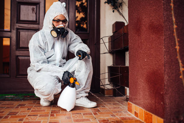 Reliable Wasp Removal contractor in St. Pete Beach, FL by Show Me Pest Control